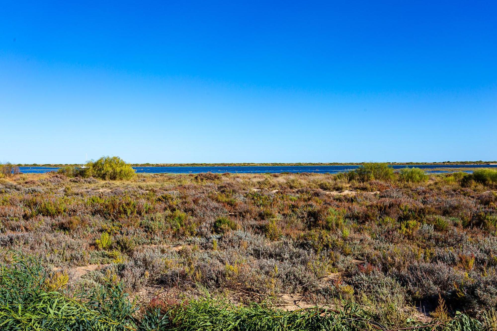 Nesha Cabanas Paradise Tavira Eksteriør billede